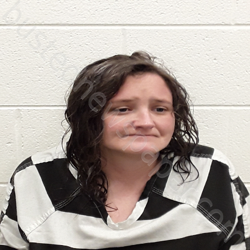 KISER, BROOKE ANN #, Monroe County, Tennessee - 2024-04-01 18:55:00