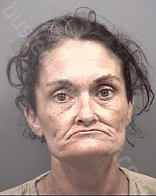 HIATT, ANGELA MARIE #, Rowan County, North Carolina - 2024-04-01 19:19:00
