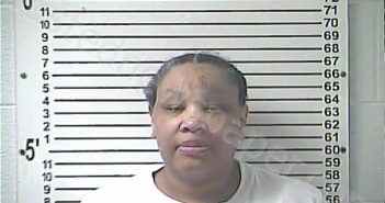 ROBINSON, TABITHA LOUISE | 2024-04-01 18:08:00 Hardin County, Kentucky Booking