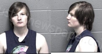GERST, BRITTANY NICOLE | 2024-04-02 11:47:00 Crawford County, Kansas Booking