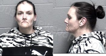 SHONE, BRANDY LYNN | 2024-04-02 23:56:00 Crawford County, Kansas Booking