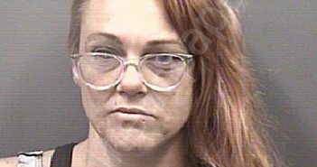 KNIGHT, CRYSTAL ANN | 2024-04-03 16:34:00 Rowan County, North Carolina Booking