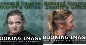 FOSTER, LYNNETTE ELAINE | 2024-04-03 04:02:00 Brevard County, Florida Booking