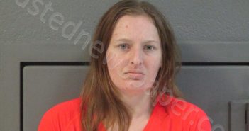 RECKART, MELISSA KAY | 2024-04-04 00:05:00 Preston County, West Virginia Booking