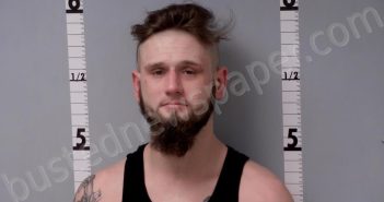 ANDERSON, BRANDON EDWARD | 2024-04-04 17:09:00 Gratiot County, Michigan Booking