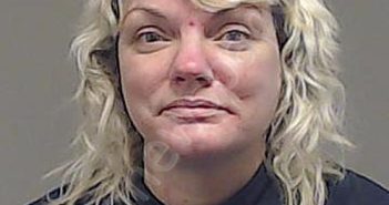 WEBSTER, LINDSAY M | 2024-04-04 10:50:00 Collin County, Texas Booking