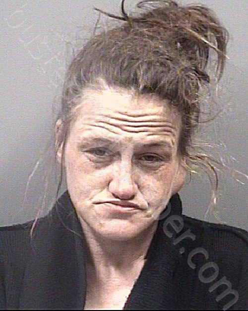 SHACKELFORD, ANNA AMEGAN #, Rowan County, North Carolina - 2024-04-04 14:21:00