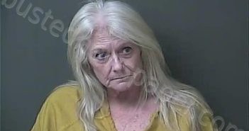 <B>JOHNSON</B>, <B>SANDRA</B> <B>LOUISE</B> #, Howard County, Indiana - 2024-04-04 14:32:00