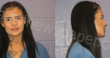 BROWN, JESSICA LEEANN | 2024-04-05 Andrews County, Texas Booking