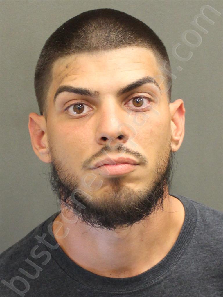 ALVAREZ, ANGEL DANIEL #, Orange County, Florida - 2024-04-05 19:49:00