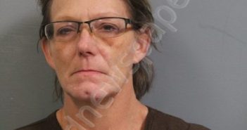 GILLISPIE, STEFANIE MARIE | 2024-04-06 01:55:00 Jackson County, West Virginia Booking