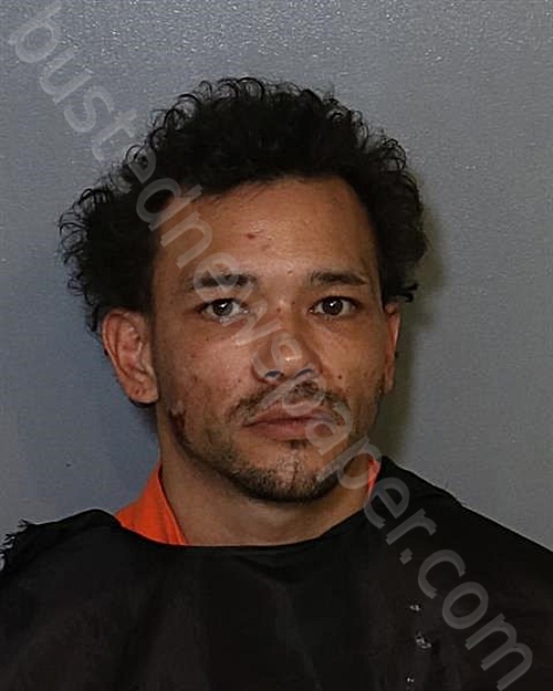 MICHAELS , LOUIS #, Osceola County, Florida - 2024-04-06
