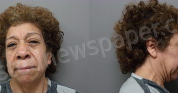 PINA, ROSA | 2024-04-08 Wise County, Texas Booking