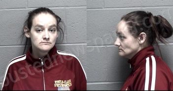 WILLS, KATHREEN MARIE | 2024-04-08 17:10:00 Crawford County, Kansas Booking