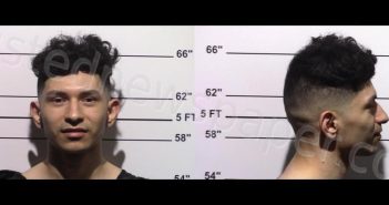 <B>CASTILLO</B>, <B>ROBERT</B> #, Gillespie County, Texas - 2024-04-08