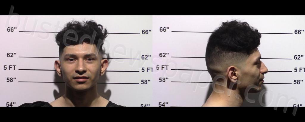 CASTILLO, ROBERT #, Gillespie County, Texas - 2024-04-08