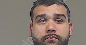 AVENDANO, LUIS ALBERTO | 2024-04-08 11:00:00 Collin County, Texas Booking