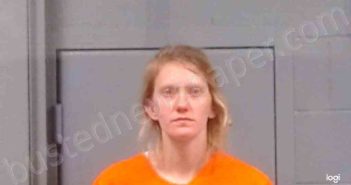 LYONS, JULIE LYNN | 2024-04-08 14:45:00 Kanawha County, West Virginia Booking