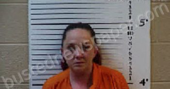 ANDERSON, CANDICE LEANN | 2024-04-09 15:27:00 Cherokee County, North Carolina Booking