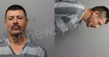 RODRIGUEZ RAMIREZ, ALEJANDRO | 2024-04-09 Wise County, Texas Booking