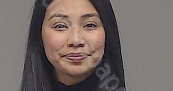 LEE, CRYSTAL LINH HOANG | 2024-04-10 12:00:00 Collin County, Texas Booking