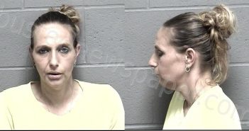 WILSON, TABATHA RENEE | 2024-04-10 17:39:00 Crawford County, Kansas Booking