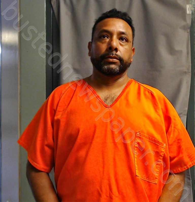 Castanongarcia, David 20240410 Karnes County, Texas Booking