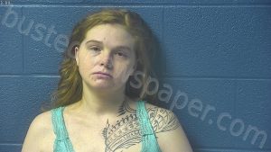 DEARBORN, JESSIE NICOLE | 2024-04-10 17:11:00 Dubois County, Indiana Booking