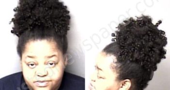 ROBINSON, DANIELLE CHRISTINE | 2024-04-10 14:19:00 Gaston County, North Carolina Booking