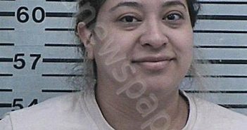 HERNANDEZ, ROSIO | 2024-04-10 22:10:03 Hood County, Texas Booking