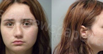 WARNOCK, JANA LEE | 2024-04-10 Wise County, Texas Booking