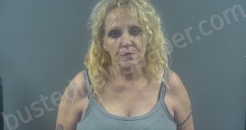 <B>STRODE</B>, <B>ANGELA</B> <B>CAROL</B> #, Warren County, Kentucky - 2024-04-10 21:54:00