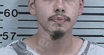 ORTIZ, MAXIMILIANO | 2024-04-12 02:49:23 Hood County, Texas Booking