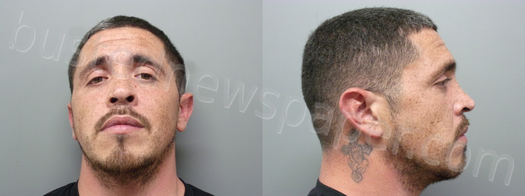 CASTILLO, PAULINO ELLIS #, Wise County, Texas - 2024-04-12