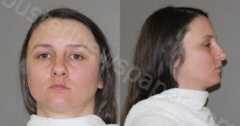 <B>WARREN</B>, <B>BRIANNA</B> <B>DAWN</B> #, Denton County, Texas - 2024-04-12