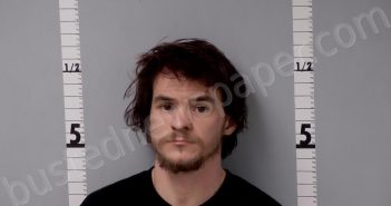 PELLAND, ANDRE JOSEPH-LIONEL | 2024-04-12 16:26:00 Gratiot County, Michigan Booking