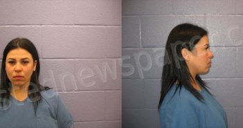 LOPEZ, DENNIA | 2024-04-13 Andrews County, Texas Booking