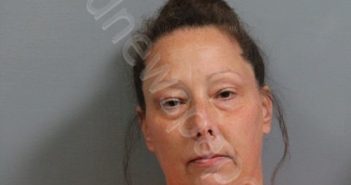 MILLER, TIFFANY MICHELLE | 2024-04-13 06:40:00 Kanawha County, West Virginia Booking