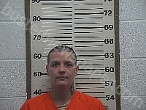 MITCHELL, ASHLEY NICOLE #, Belmont County, Ohio - 2024-04-13