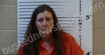 LENORD, PRICILLA MARIE | 2024-04-14 10:49:00 Cherokee County, North Carolina Booking