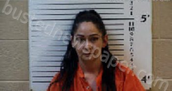 GODSEY, SONJA LEIA | 2024-04-14 14:45:00 Cherokee County, North Carolina Booking