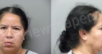 NAVARRETE, ALMA HORTENCIA | 2024-04-14 Wise County, Texas Booking