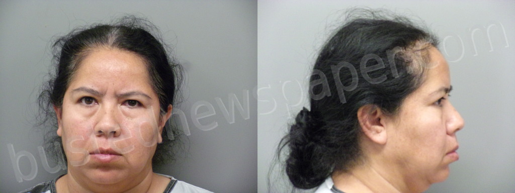 NAVARRETE, ALMA HORTENCIA #, Wise County, Texas - 2024-04-14