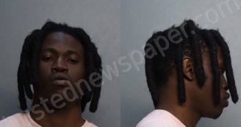 ALTENOR, ISAIAH REGINALD | 2024-04-15 05:11:00 Miami-Dade County, Florida Booking