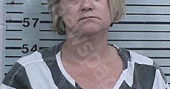 HOWELL, CANDACE MICHELE | 2024-04-15 13:08:35 Hood County, Texas Booking