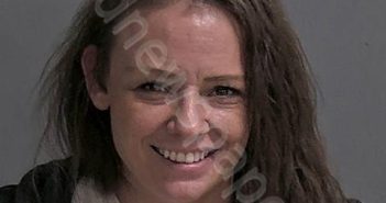 WILLIAMS, ASHLEY S | 2024-04-16 Sandusky County, Ohio Booking