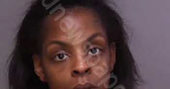 STEVENS, ANASTASHA MONAE | 2024-04-16 09:43:00 Florence County, South Carolina Booking