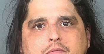 <B>COLON</B>, <B>ANGEL</B> <B>L</B> #, Manatee County, Florida - 2024-04-16