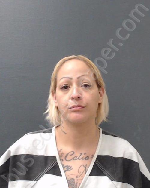 GAREZ, REAANNE MARIE #, Comal County, Texas - 2024-04-16