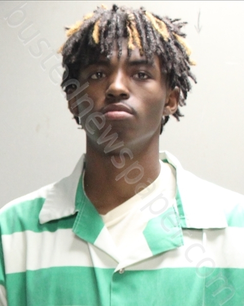 Daniels,cameron 20240416 Freestone County, Texas Booking